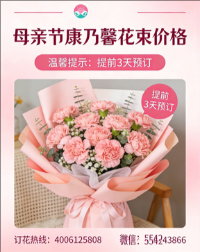 怀化新晃县花店母亲节康乃馨花束