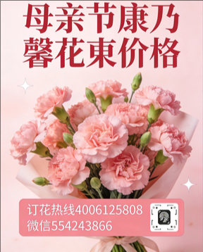 怀化新晃县花店母亲节康乃馨花束